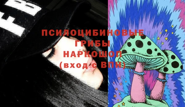 твердый Аркадак