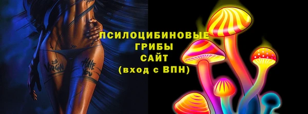 твердый Аркадак
