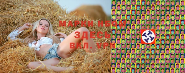 твердый Аркадак