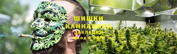 твердый Аркадак