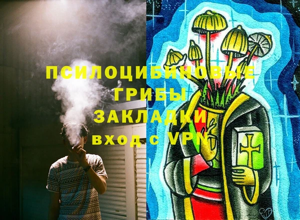 твердый Аркадак