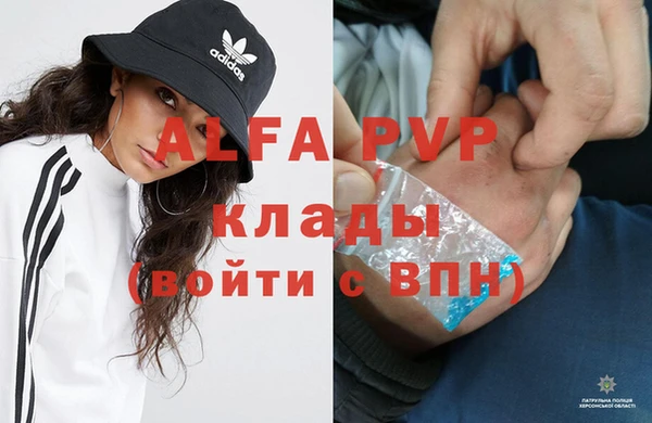 твердый Аркадак