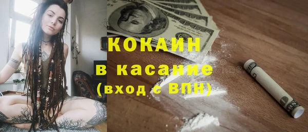 твердый Аркадак