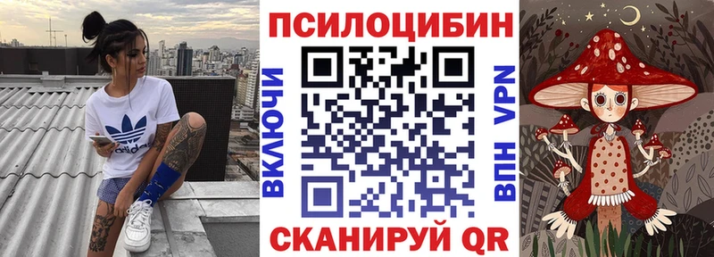 blacksprut вход Славск Псилоцибиновые грибы Psilocybe наркота